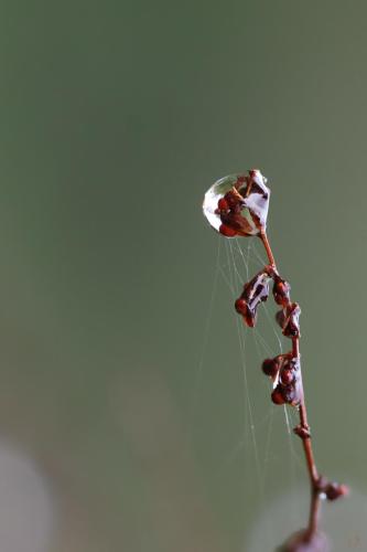 Submergé d'émotion